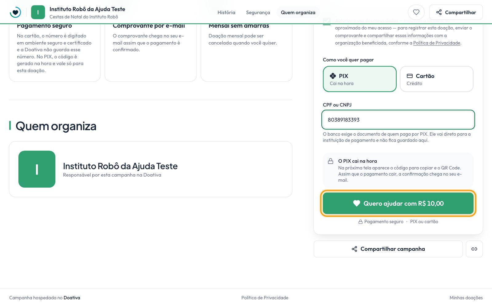 O formulário com PIX escolhido: valor, dados do doador e o CPF ou CNPJ que o banco exige